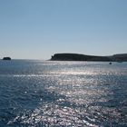 Lampedusa : isola dei conigli