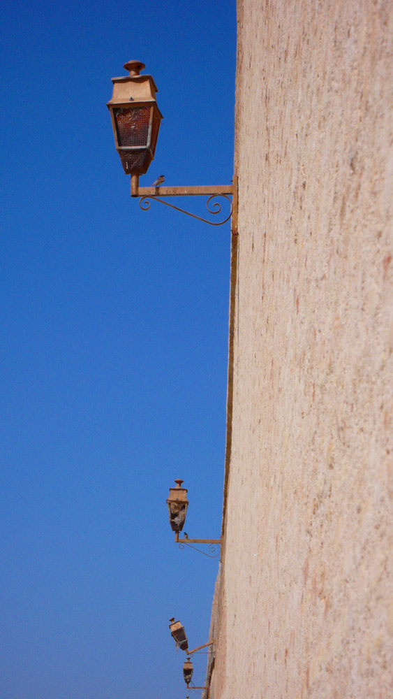 Lampen oder Vogelnester?