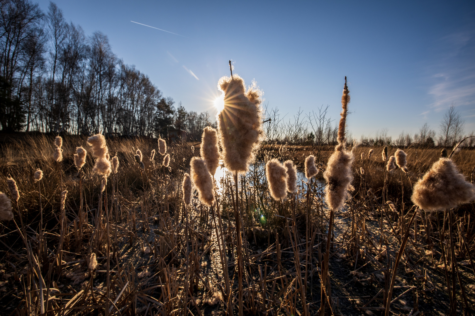 'Lampenputzer' mit Sonnenstern 