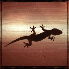 lampenschirm-gecko