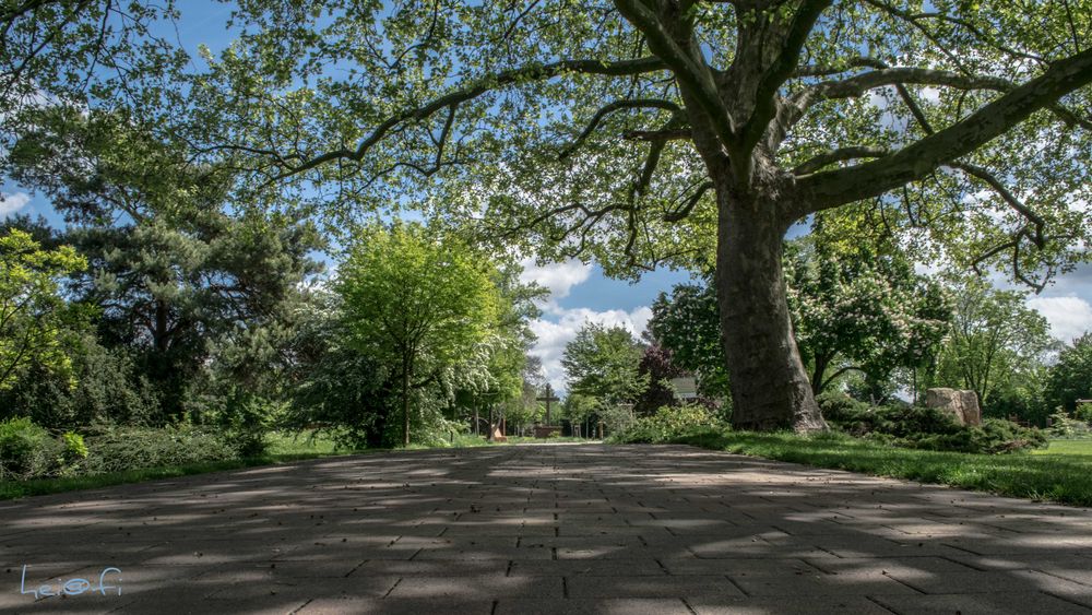 Lampertheim .der Stadtpark