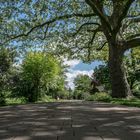 Lampertheim .der Stadtpark