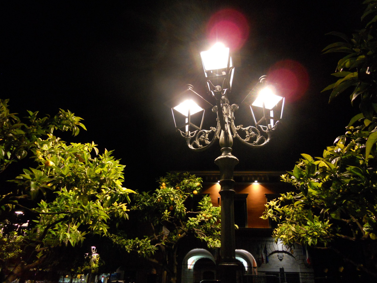 Lampion am Gardasee (Gargnano)