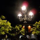 Lampion am Gardasee (Gargnano)