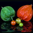 Lampion (Physalis)