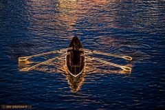 Lampionkorso_01