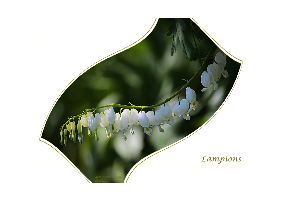 Lampions