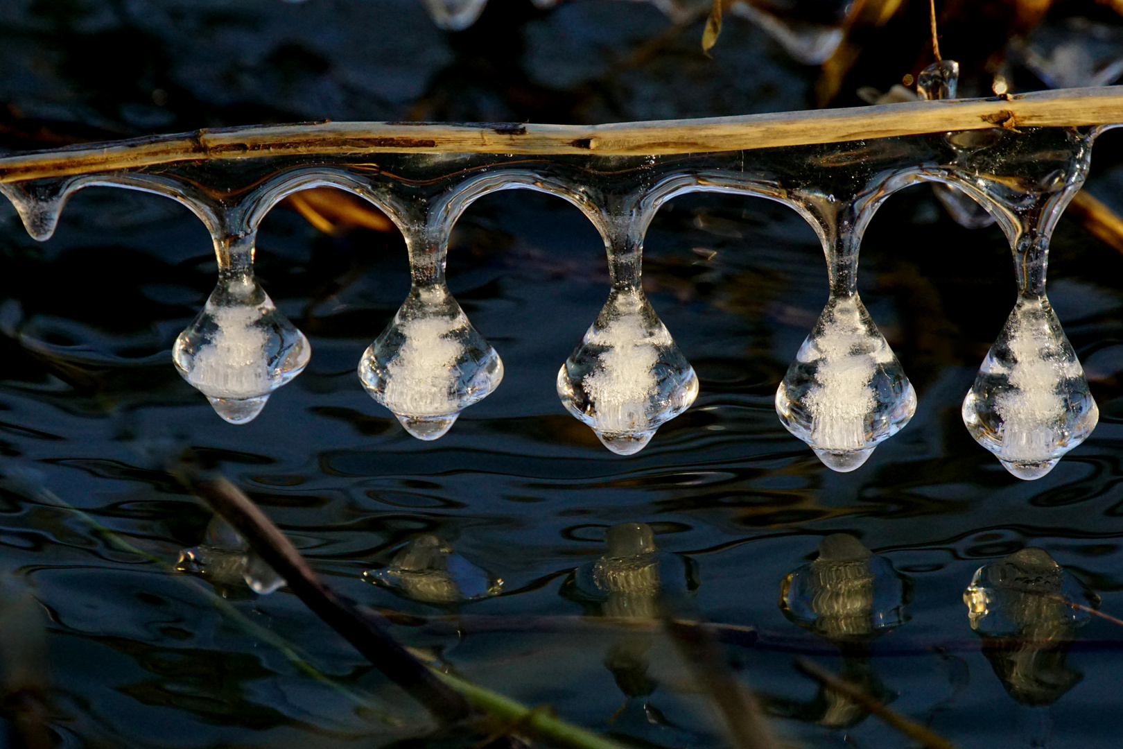 Lampions aus Eis.