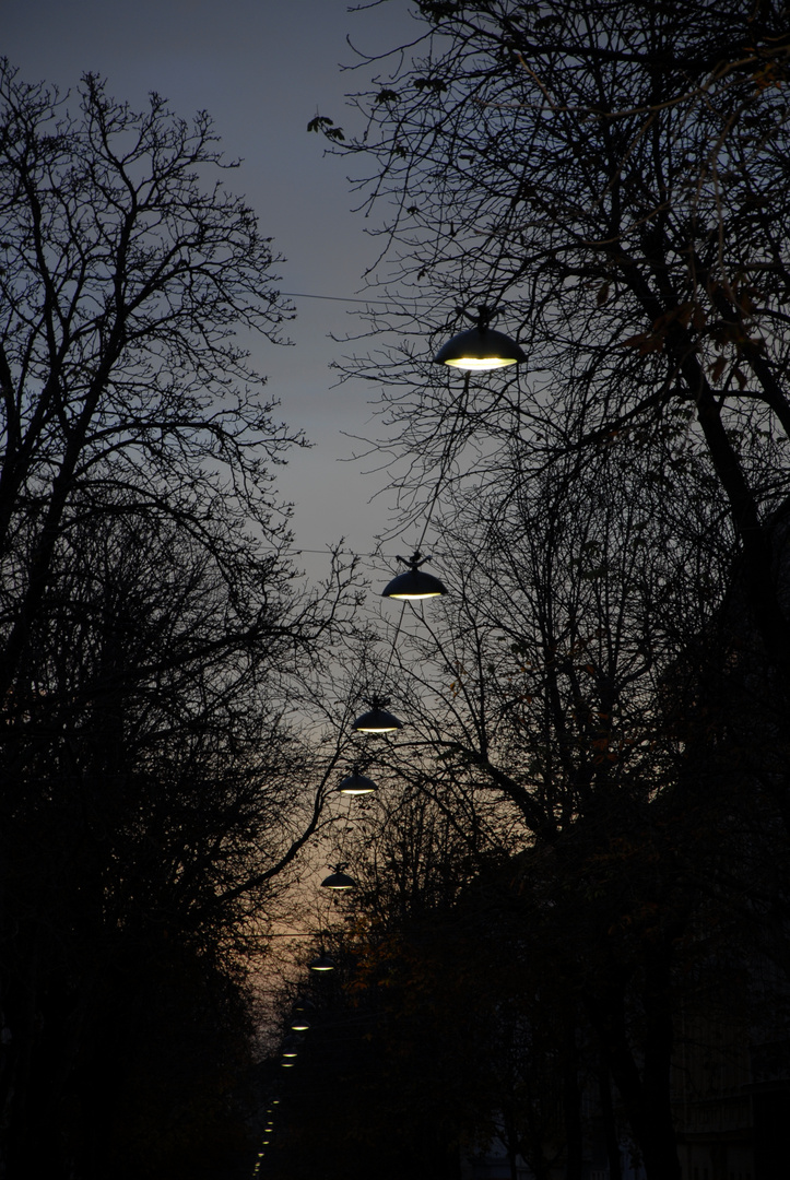 lamplight