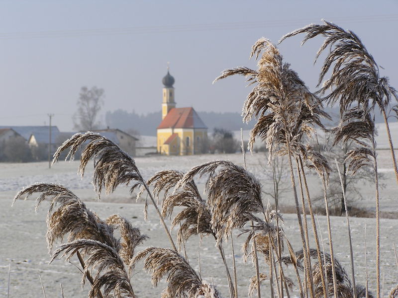 Lamprechten im Winter