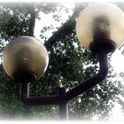 Lamps