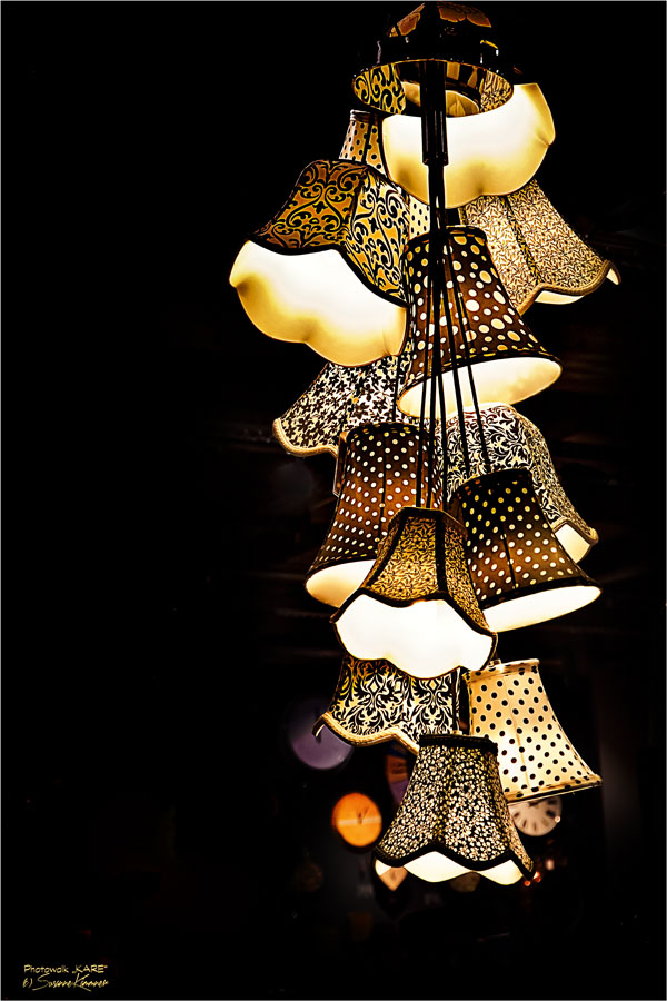 ~ lampshades ~