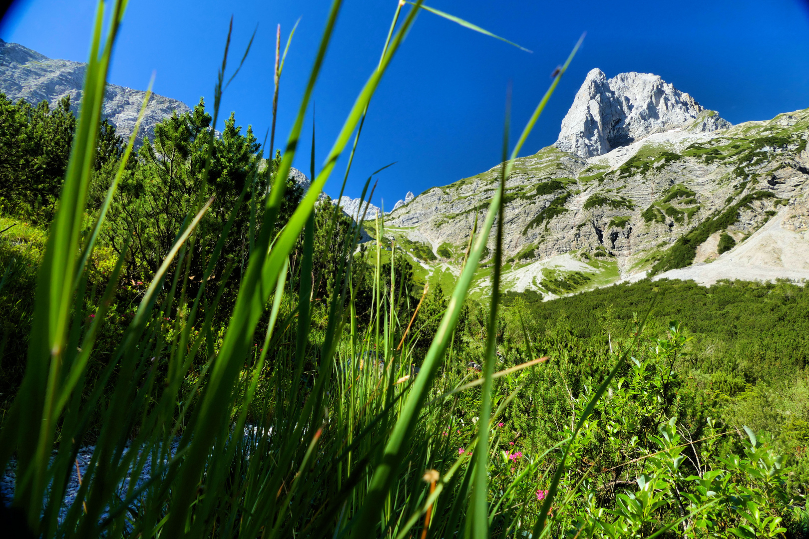 Lamsenspitze