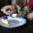 lana kümmerling lässt sich ebenfalls den sonntagskuchen schmecken