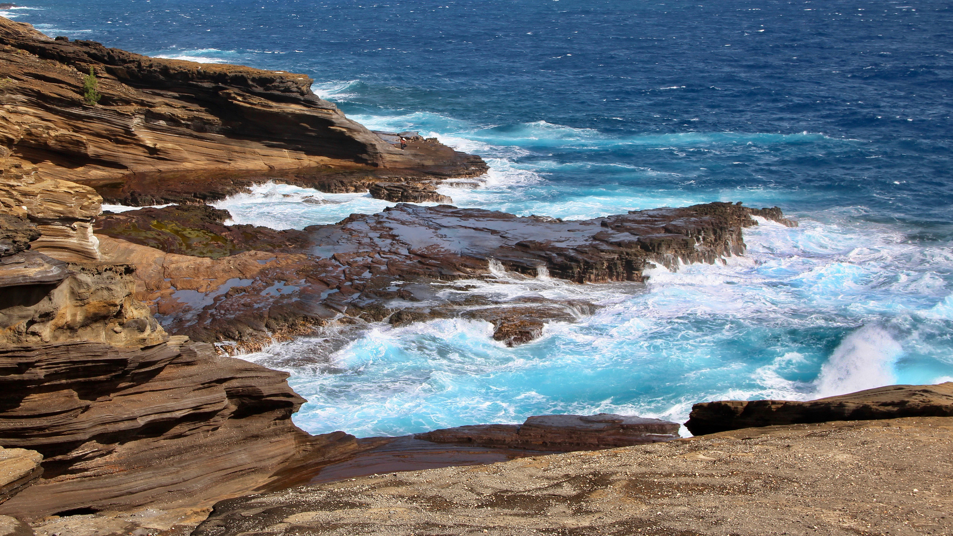 Lanai Lookout