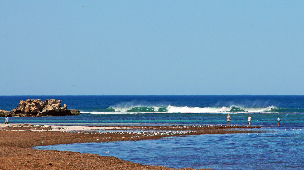 ..Lancelin Beach 1..