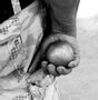 L'ancien jeu de pétanque. Provence # 2 von lucy franco 