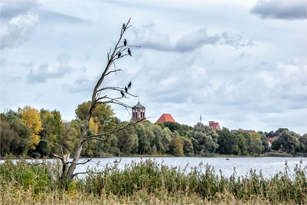 Land am Fluß