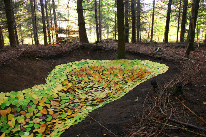 Land Art 02 Foto & Bild naturtabletop, naturkreativ