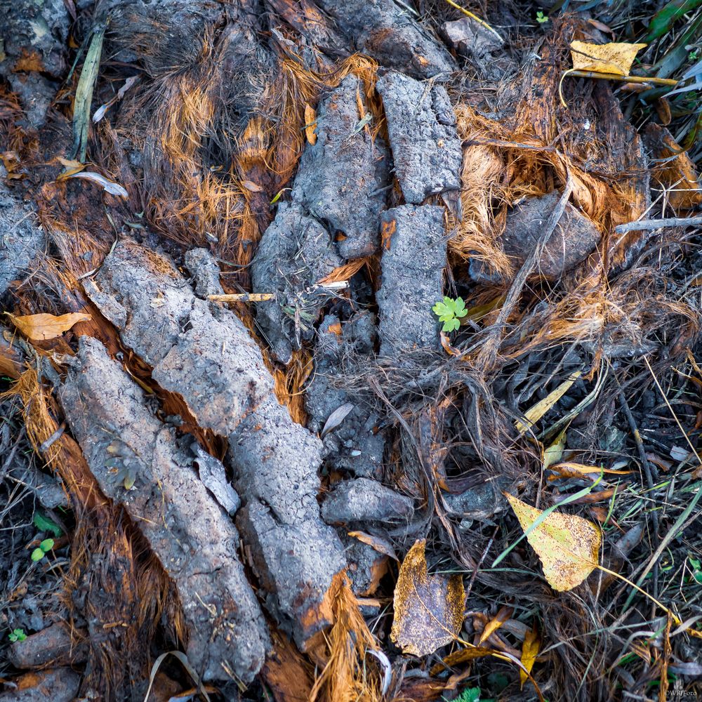 Land-Art