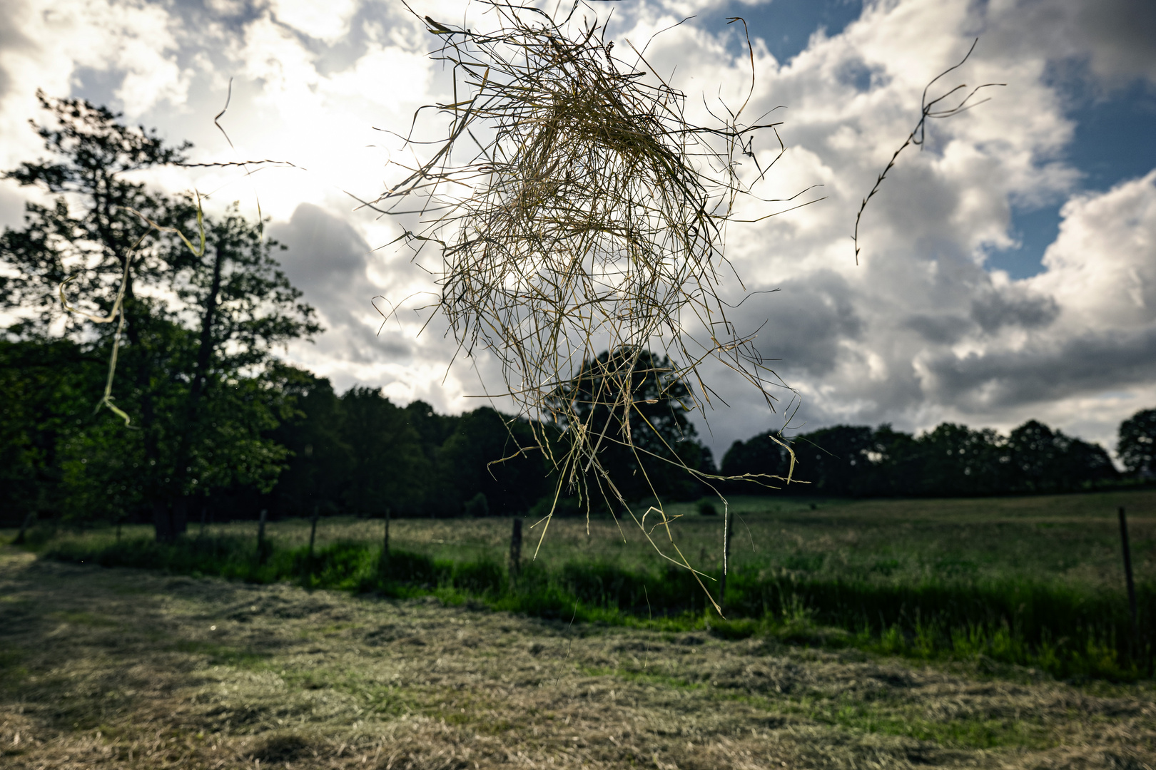 Land Art 