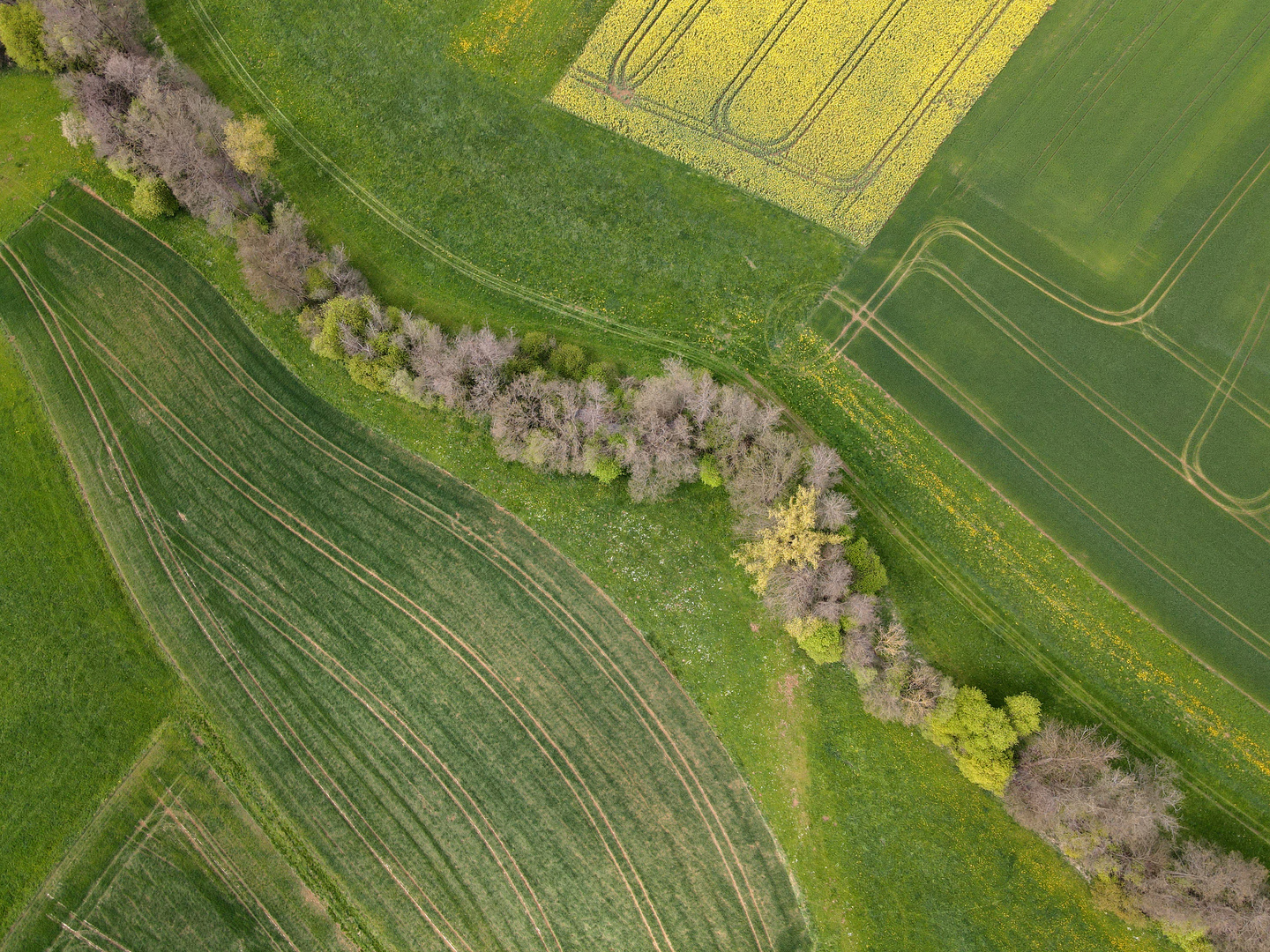 LAND-ART