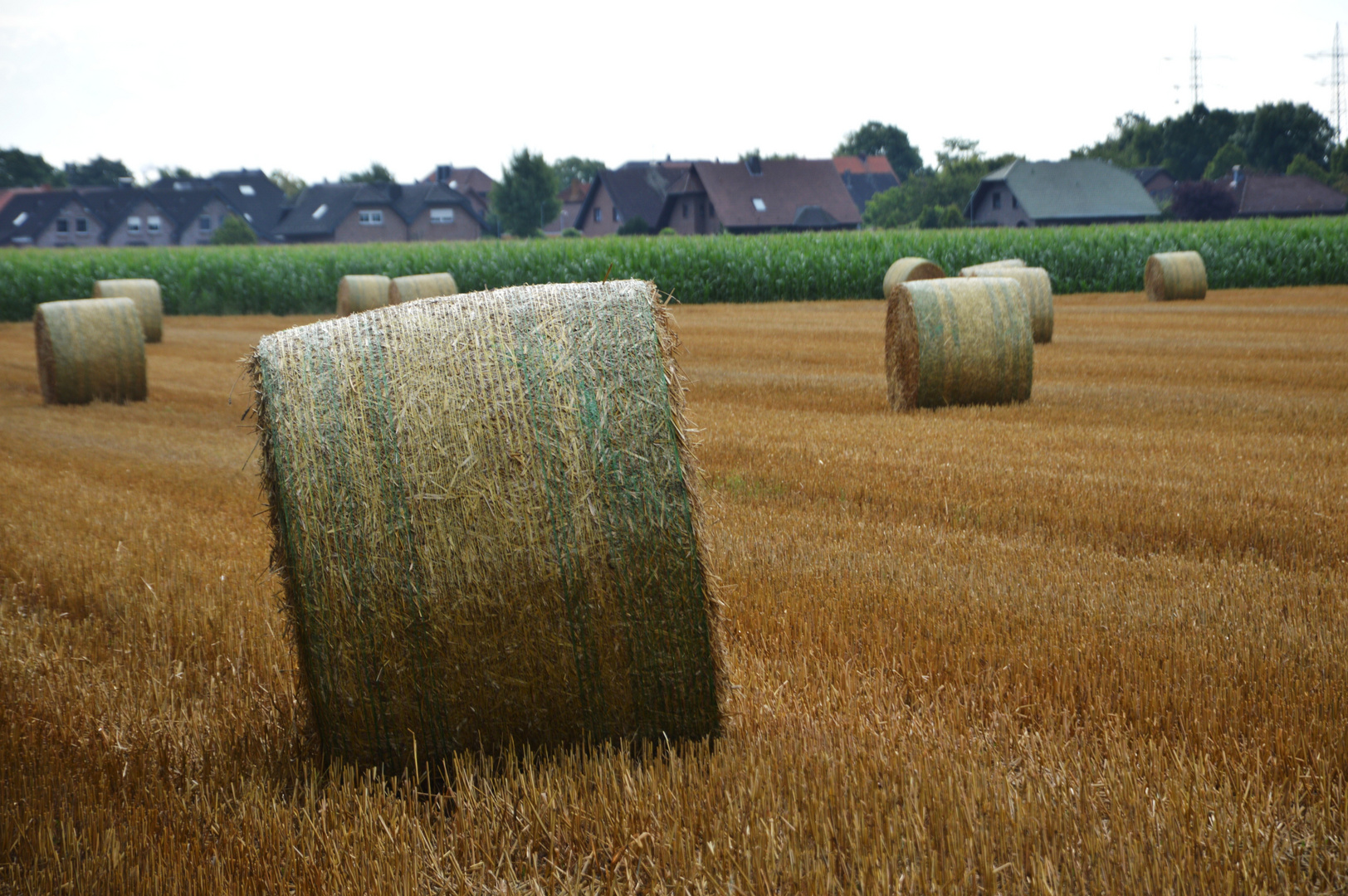 Land - Art