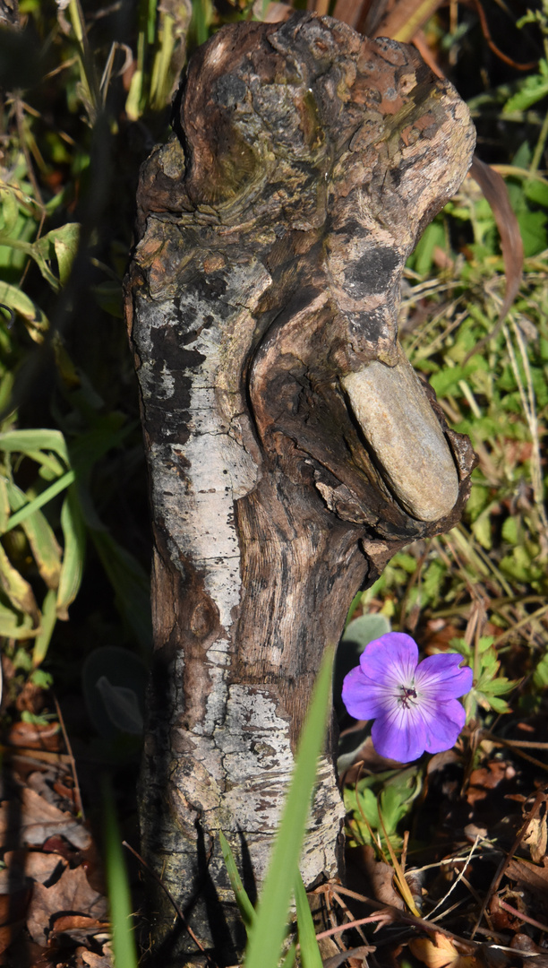 Land Art dans le jardin