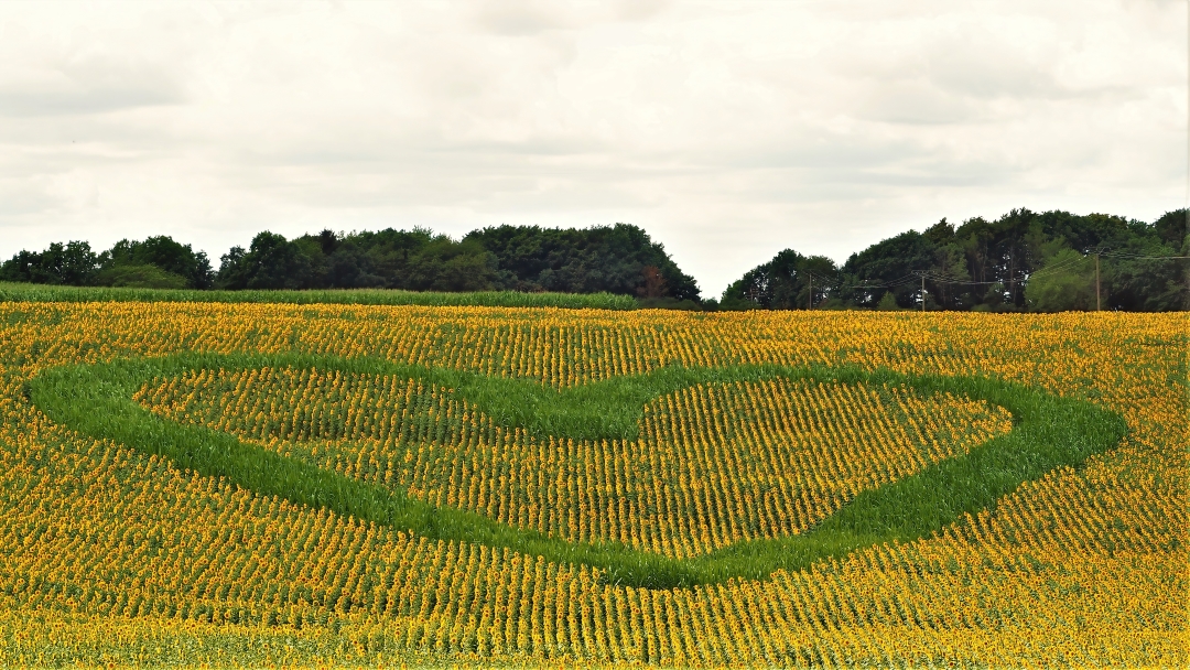 Land Art im Naturpark Knüll