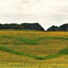 Land Art im Naturpark Knüll