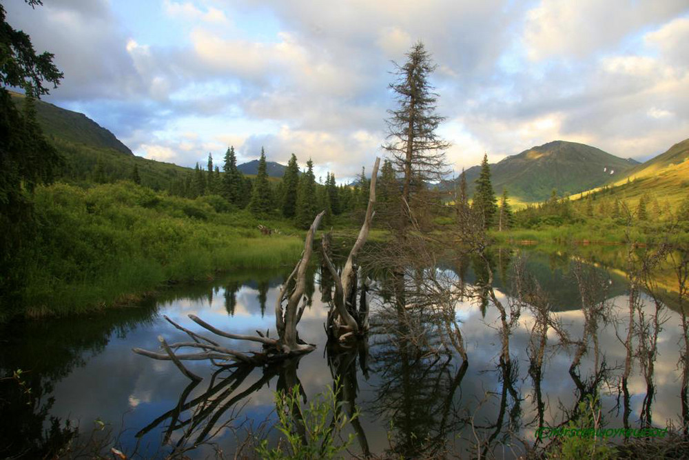 Land before Time... Seit Ewigkeiten Unverändert (nahe Willow, Alaska)