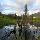 Land before Time... Seit Ewigkeiten Unverändert (nahe Willow, Alaska)