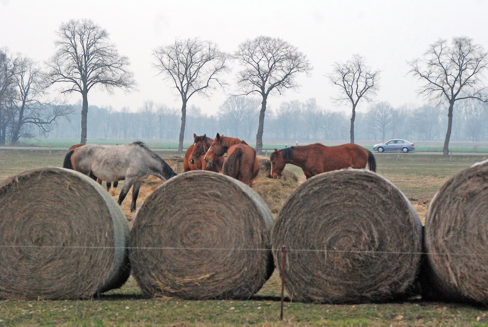 Land Brandenburg