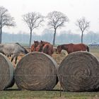 Land Brandenburg