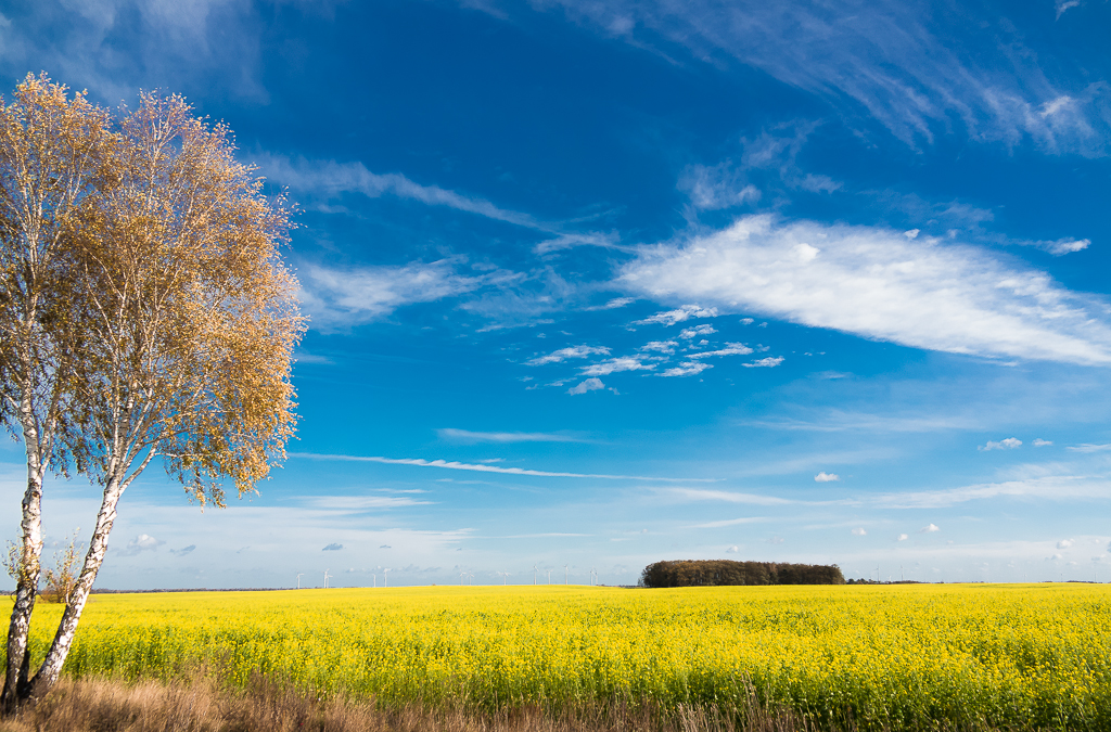 Land Brandenburg ist auch schön.