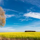 Land Brandenburg ist auch schön.