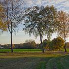 Land Brandenburger Herbst