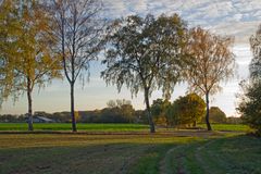 Land Brandenburger Herbst