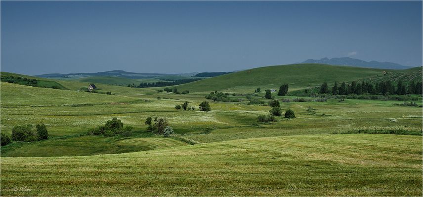 Land der Arvernes (5)