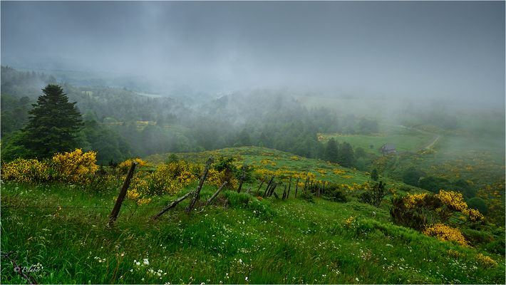 Land der Arvernes (8)