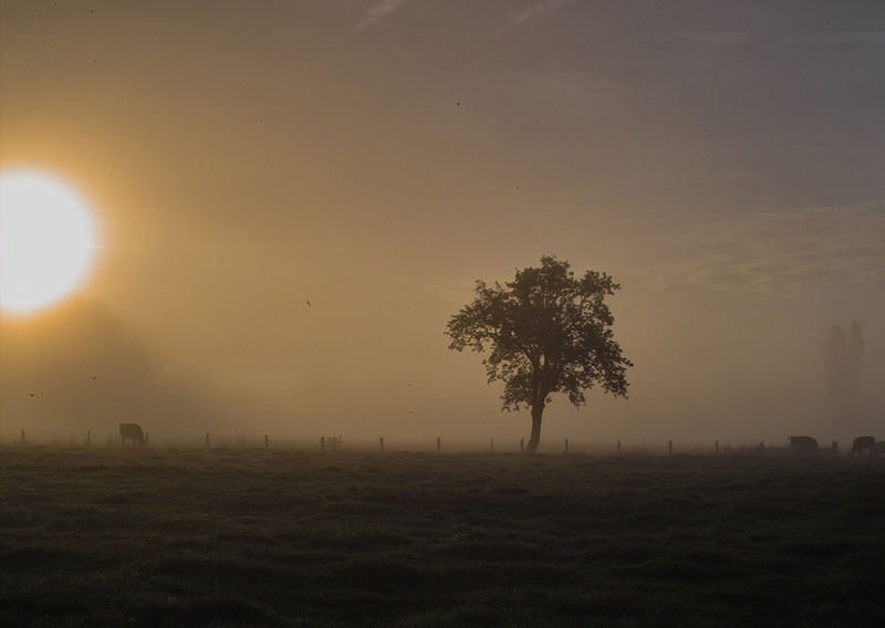 Land der aufgehenden Sonne