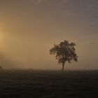 Land der aufgehenden Sonne