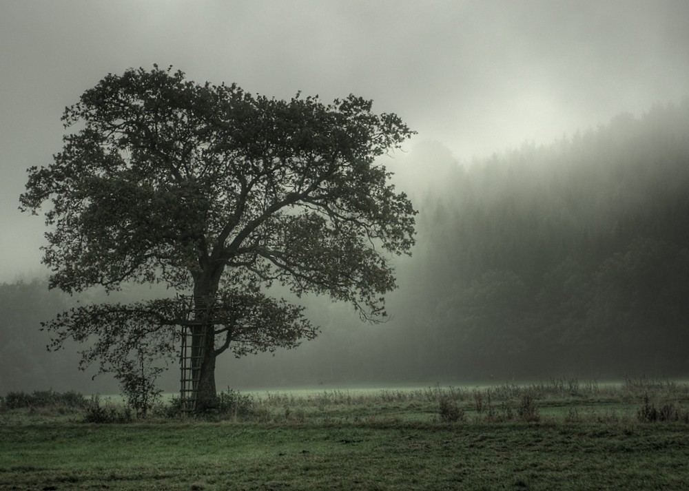 Land der Elfen und Trolle