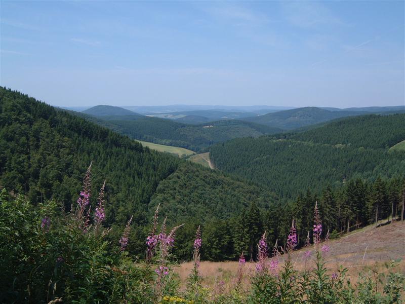 Land der tausend Berge