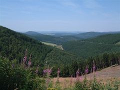 Land der tausend Berge