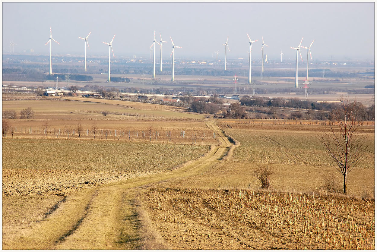 Land der Windräder -2-