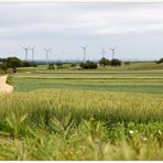 Land der Windräder