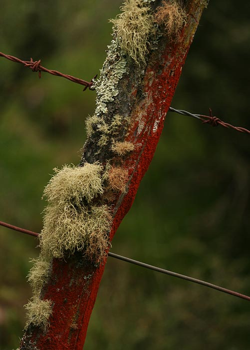 Land der Zäune