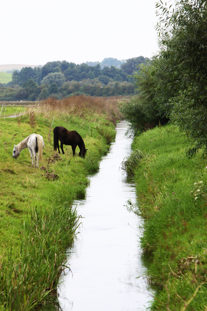 Land-Leben