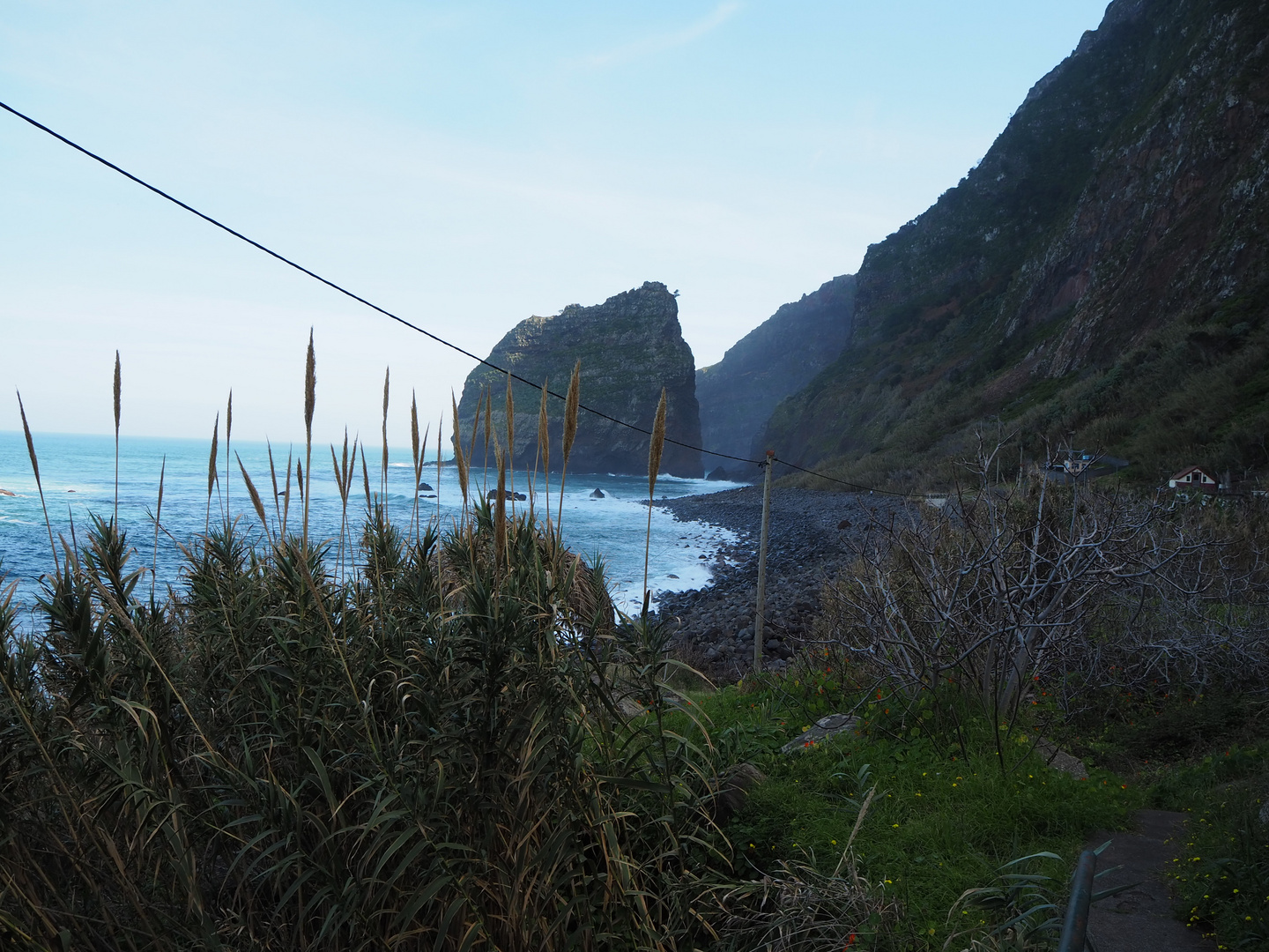 Land of Flowers - Impressions of Madeira